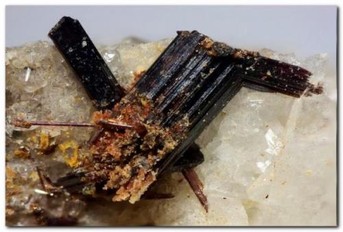 Rutilo<br />Canteras de Mármol, Macael, Comarca Valle del Almanzora, Almería, Andalucía, España<br />Encuadre 5 mm.<br /> (Autor: Rafa Muñoz(mineralvarado))