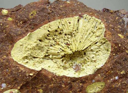 Nontronita con Hollandita<br />Can Súria Quarry (Guixeres Quarry), Maçanet de la Selva, Comarca La Selva, Gerona / Girona, Catalonia / Catalunya, Spain<br />10 × 8.2 × 4.8 cm.<br /> (Autor: Jordi Fabre)