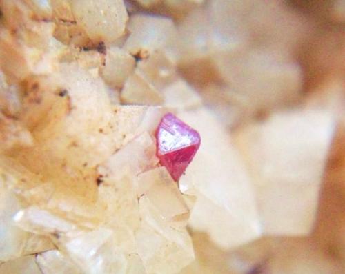 Cinabrio<br />Sierra de Baza, Comarca Baza, Granada, Andalucía, España<br />Cristal 3 mm.<br /> (Autor: Nieves)