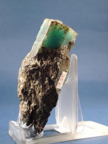 Berilo (variedad esmeralda)<br />Emerald Deposit, A Franqueira, A Cañiza, Comarca Paradanta, Pontevedra, Galicia / Galiza, Spain<br />Cristal de 5 cm<br /> (Autor: Echevarria)