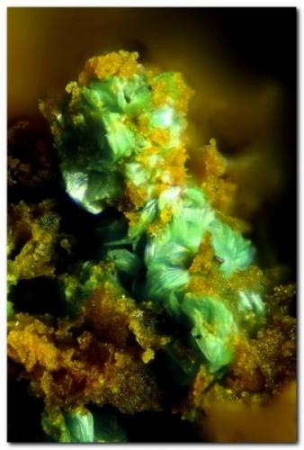 Parnauita.<br />La Preciosa Mine, Fuente Huerpita, Vall de Almonacid, Comarca Alto Palancia, Castellón / Castelló, Valencian Community / Comunitat Valenciana, Spain<br />Encuadre 1 mm.<br /> (Autor: Rafa Muñoz(mineralvarado))