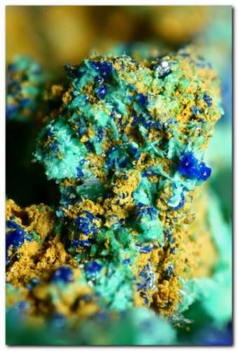 Brochantita, azurita.<br />La Preciosa Mine, Fuente Huerpita, Vall de Almonacid, Comarca Alto Palancia, Castellón / Castelló, Valencian Community / Comunitat Valenciana, Spain<br />Encuadre 4 mm.<br /> (Autor: Rafa Muñoz(mineralvarado))