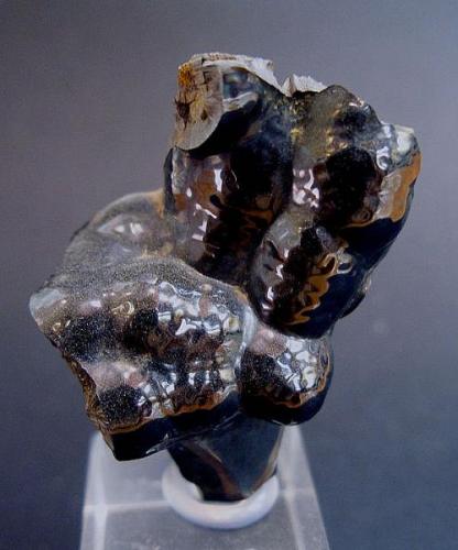 Goethita.<br />Mina Serra da Mina, Cercal, Santiago do Cacém, Distrito Setúbal , Región Área Metropolitana de Lisboa, Portugal<br />2.5 x 2 cm.<br /> (Autor: Juan Cabezas)
