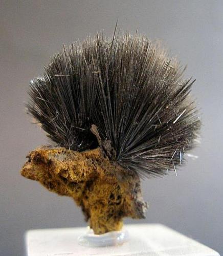 Pirolusita<br />Mina Serra da Mina, Cercal, Santiago do Cacém, Distrito Setúbal , Región Área Metropolitana de Lisboa, Portugal<br />2 x 1 cm.<br /> (Autor: Juan Cabezas)