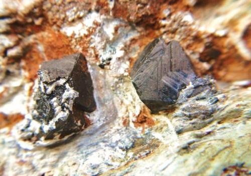 Magnetita<br />Sierra Nevada, Granada, Andalusia, Spain<br />Cristales 1 cm.<br /> (Autor: Nieves)