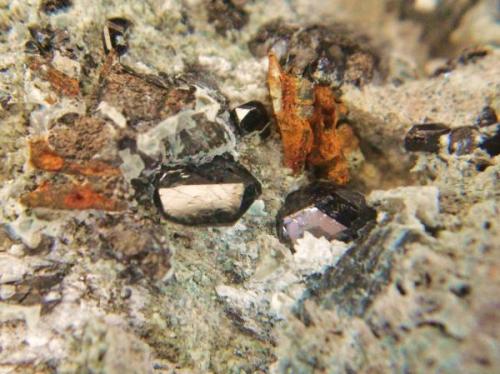 Ilmenita<br />Llanos del Juanar, Ojén, Comarca Costa del Sol Occidental, Málaga, Andalusia, Spain<br />Cristales 7 mm.<br /> (Autor: Nieves)