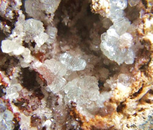 Hemimorfita<br />Barranco de los Lobos, La Peza, Comarca Guadix, Granada, Andalucía, España<br />Cristales 4 mm.<br /> (Autor: Nieves)