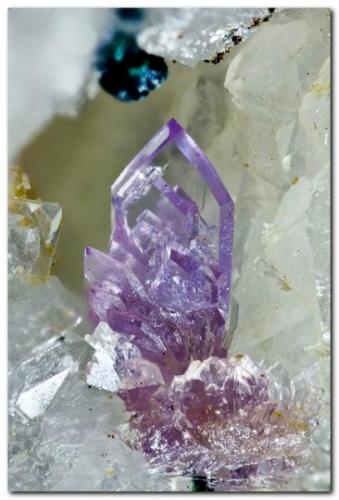 Strengita<br />La Paloma Mine, Zarza la Mayor, Mancomunidad Rivera de Fresnedosa, Cáceres, Extremadura, Spain<br />Cristal de 1.5 mm<br /> (Autor: Rafa Muñoz(mineralvarado))