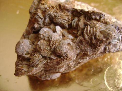 Siderita y calcopirita<br />El Borracho Mine, Garlitos, Comarca La Siberia, Badajoz, Extremadura, Spain<br />6 X 6 X 4 cm<br /> (Autor: apita)