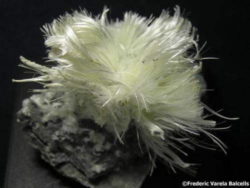 Halotriquita<br />Benahadux Mines, La Partala, Benahadux, Comarca Metropolitana de Almería, Almería, Andalusia, Spain<br />5 x 5 cm.<br /> (Autor: Frederic Varela)
