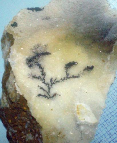 pirolusita sobre Cuarzo.<br />San Cosme de Nete, Vilalba, prov. de Lugo<br />5x4<br /> (Autor: Javier Arribas)