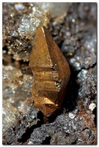 Cobre<br />Minas El Valle-Boinás, El Valle, Begega, Belmonte de Miranda, Comarca Oviedo, Principado de Asturias (Asturias), España<br />Cristal 2 mm.<br /> (Autor: Rafa Muñoz(mineralvarado))