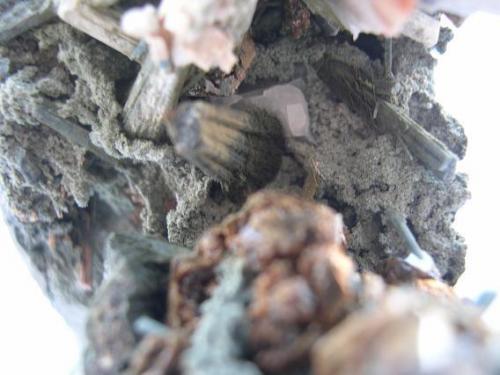 Marialita (Grupo Escapolita)<br />Carlés Mine, Ballotal-El Fuxaco, Carlés, Salas, Comarca Valle del Narcea, Principality of Asturias (Asturias), Spain<br />11 x 8 cm.<br /> (Autor: minero1968)