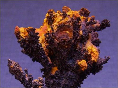 Goethita<br />Alosno, Comarca El Andévalo, Huelva, Andalusia, Spain<br />5 x 3,5 cm.<br /> (Autor: Antonio Alcaide)