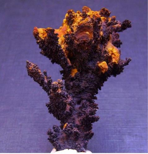 Goethita<br />Alosno, Comarca El Andévalo, Huelva, Andalusia, Spain<br />5 x 3,5 cm.<br /> (Autor: Antonio Alcaide)