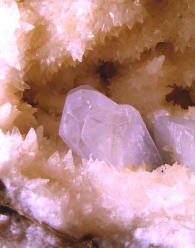 Celestina<br />Condado de Treviño, Comarca del Ebro, Burgos, Castilla y León, España<br />Cristales de 1,8 cm.<br /> (Autor: Calita)
