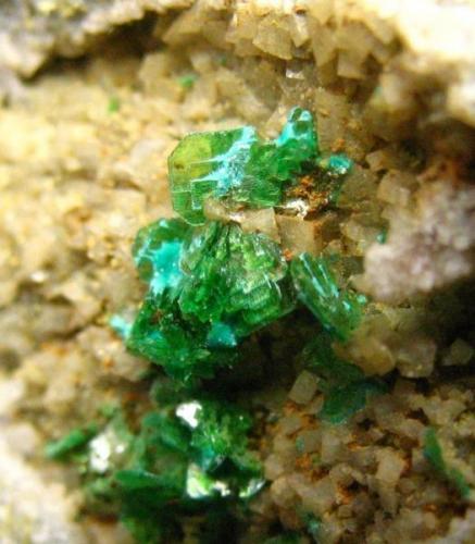 Metazeunerita<br />Mina La Profunda, Collada de Cármenes, Cármenes, Comarca Los Argüellos, León, Castilla y León, España<br />Grupo de cristales de 8 mm.<br /> (Autor: Calita)