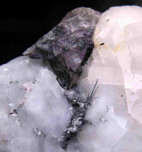 Stibnita (Estibina) y Fluorita<br />Escarlati Mine, Puerto de las Señales, Maraña, Comarca Montaña Oriental, León, Castile and León, Spain<br />2 x 2 cm. zona foto<br /> (Autor: Calita)