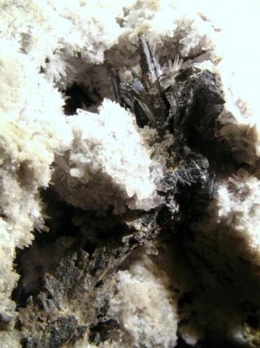 Stibnita (Estibina)<br />Escarlati Mine, Puerto de las Señales, Maraña, Comarca Montaña Oriental, León, Castile and León, Spain<br />Cristal de 6 cm.<br /> (Autor: Calita)