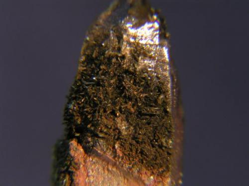 Epidota sobre Cuarzo (variedad ahumado)<br />Cantera Cillarga, Linar da Raina, Ponteareas, Comarca El Condado, Pontevedra, Galicia / Galiza, España<br /><br /> (Autor: Carlos J. Rodríguez)