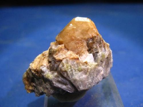 Granate (grupo)<br />Fermoselle, Comarca Sayago, Zamora, Castilla y León, España<br />Cristal de 1,5 cm.<br /> (Autor: Calita)