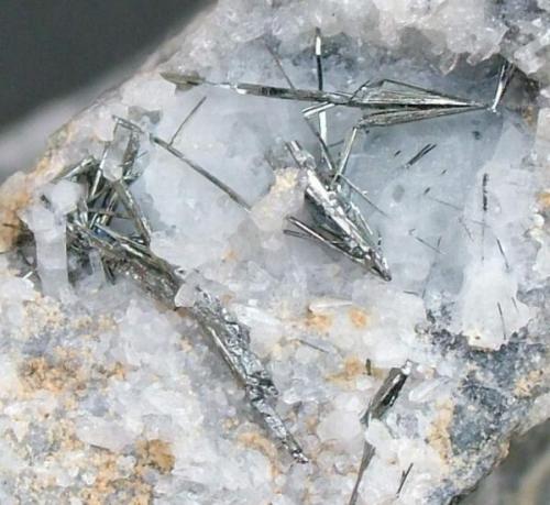 Stibnita (Estibina) en Cuarzo<br />Escarlati Mine, Puerto de las Señales, Maraña, Comarca Montaña Oriental, León, Castile and León, Spain<br />Área foto 13 x 36 mm.<br /> (Autor: JACendon)