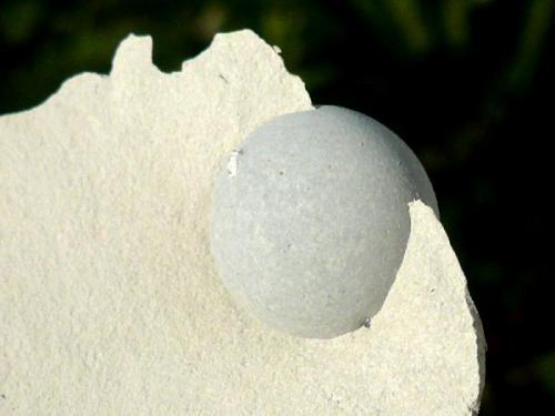 Ópalo (variedad menilito)<br />Opal outcrop, Camarillas reservoir, Agramón, Hellín, Comarca Campos de Hellín, Albacete, Castilla-La Mancha, Spain<br />Diámetro: 1,3 cm..<br /> (Autor: nerofis2)