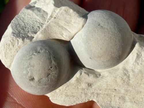 Ópalo (variedad menilito)<br />Opal outcrop, Camarillas reservoir, Agramón, Hellín, Comarca Campos de Hellín, Albacete, Castilla-La Mancha, Spain<br />3 cm.<br /> (Autor: nerofis2)