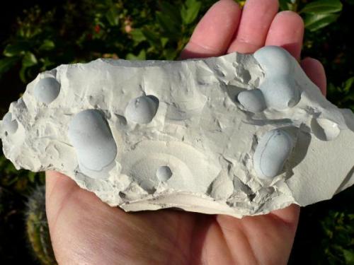 Ópalo (variedad menilito)<br />Opal outcrop, Camarillas reservoir, Agramón, Hellín, Comarca Campos de Hellín, Albacete, Castilla-La Mancha, Spain<br />17x7 cm.<br /> (Autor: nerofis2)