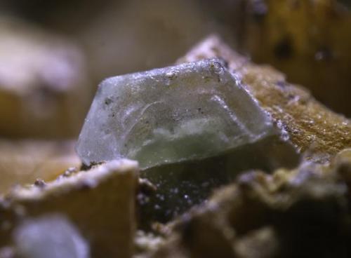 Apatito sobre Microclina<br />Afloramiento por corte en carretera, Vilachán do Monte, Tomiño, Comarca Bajo Miño, Pontevedra, Galicia / Galiza, España<br />Encuadre 6mm.<br /> (Autor: usoz)