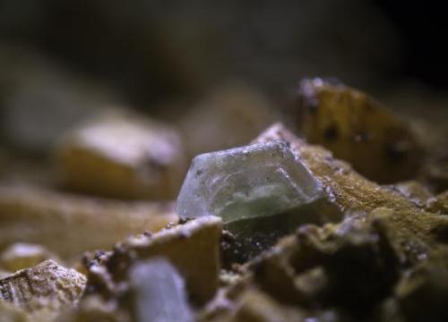 Apatito sobre Microclina<br />Afloramiento por corte en carretera, Vilachán do Monte, Tomiño, Comarca Bajo Miño, Pontevedra, Galicia / Galiza, España<br />Encuadre 6mm.<br /> (Autor: usoz)