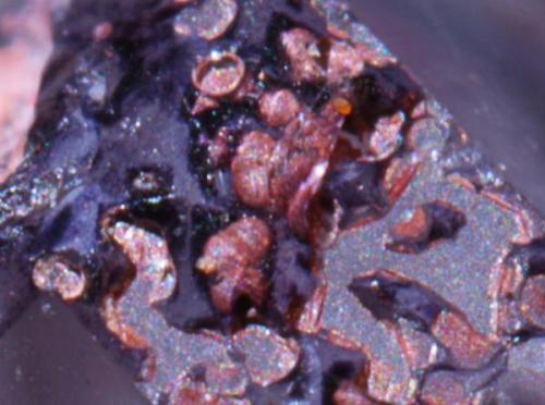 Fluorita, Hematites<br />Cantera Cillarga, Linar da Raina, Ponteareas, Comarca El Condado, Pontevedra, Galicia / Galiza, España<br />detalle<br /> (Autor: usoz)