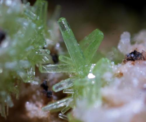 Piromorfita<br />Mina Nieves, Monte Dobra, Viérnoles, Torrelavega, Comarca Besaya, Cantabria, España<br />4 mm.<br /> (Autor: usoz)