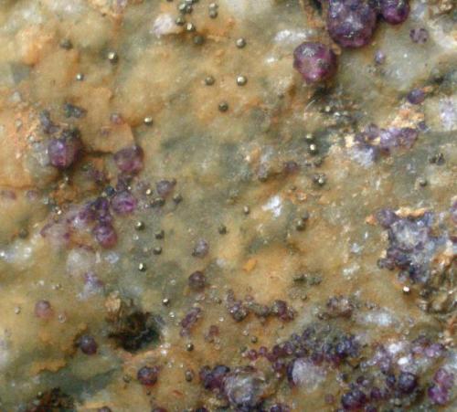 Fluorita y Pirita.<br />Arteixo, Comarca A Coruña, La Coruña / A Coruña, Galicia / Galiza, España<br />Encuadre de 1,5 cm.<br /> (Autor: Javier Arribas)