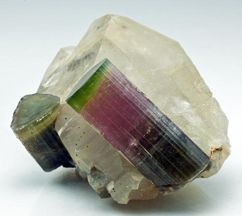 Tourmaline with Quartz
Himalaya Mine, Mesa Grande District, 
San Diego Co., California
Main crystal 4.9 x 2 cm
Overall Size 6 x 7 cm (Author: am mizunaka)