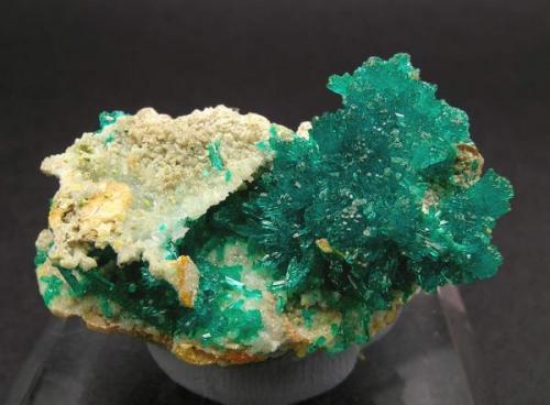 Dioptase with Wulfenite and Calcite
Mammoth-St. Anthony Mine, Tiger, Pinal County, Arizona, USA 
Mined about 1959
Former Folch Collection
Specimen size: 3.3 × 2.4 × 1.8 cm.
Calcite fluorescent long & short UV
Photo: "Reference Specimens" (Author: Jordi Fabre)