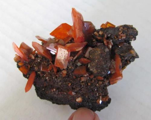 Wulfenite, Red Cloud Mine, La Paz Co., Arizona: small cabinet (Author: Peter Megaw)