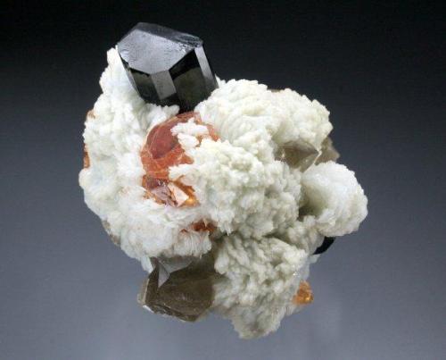 Spessartine with Schorl, Albite and Quartz, Little Three Mine, Hercules Dike, Ramona District. 4 cm across. (Author: Jesse Fisher)