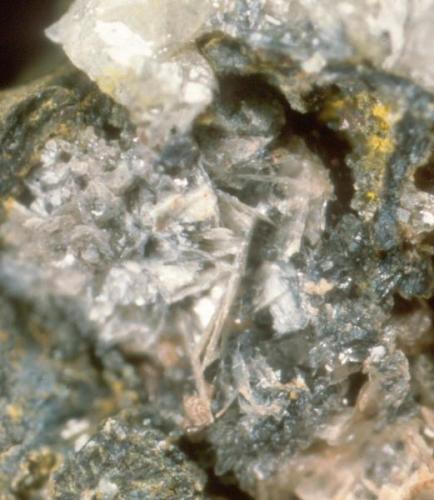 scheifflinite (Author: Peter Megaw)