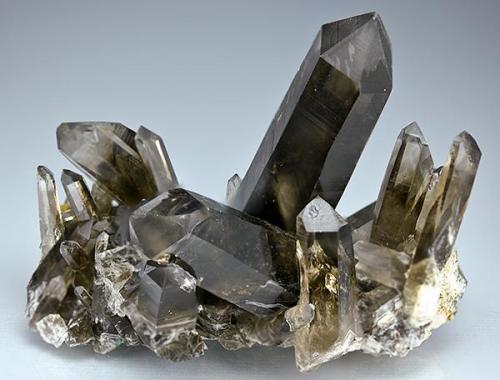 Smoky Quartz
Sierra Blanca, White Mountain Wilderness, Lincoln Co., New Mexico
Specimen size 9.3 x 7.5 x 7.5 cm. (Author: am mizunaka)