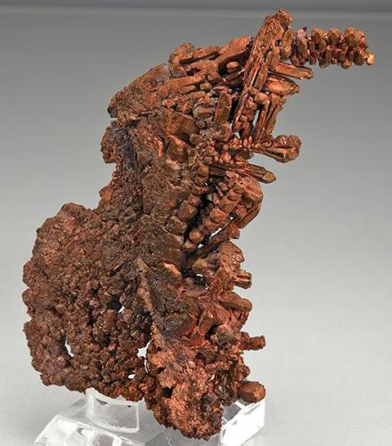 Copper
Chino Mine, Santa Rita District, Grant Co., New Mexico
Specimen size 7.6 x 4.5 cm. (Author: am mizunaka)