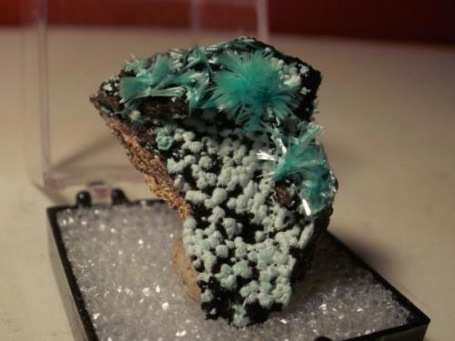 Aurichalcite, Kelly Mine, Socorro county. Thumbnail. (Author: Darren)