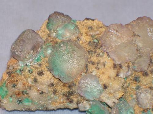 Same specimen, close up.  The fluorite is actually a pale lilac colour.  The greenish tinge to the modified crystals is due to underlying copper oxides.  Tony collected this specimen in 1969 or 1970. (Author: Ed Huskinson)