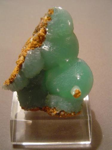 Smithsonite, Kelly Mine, Magdalena District, near Magdalena, New Mexico.  5.5cm X 5.0 cm. From Tony Otero, who ran the rock shop in Magdalena, New Mexico, in 1977.  The specimen features a single "Rice Grain" crystal growing off  one of the spheres.  The splotch of brown is where the "Rice Grain" contacted the other side of the little pocket.  My friend Mike refers to this piece as "Right off the cover of Sinkankas". (Author: Ed Huskinson)