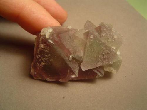 A clearer shot of the same specimen, finger for scale.  The specimens from this pocket were characterized by tiny distorted (almost spinel-twinned) late stage clear crystals that grew on and near the tips of the octahedrons. (Author: Ed Huskinson)