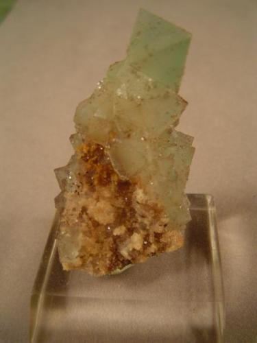 Fluorite, Lookout #1 Mine, Cook’s Peak, Luna County, New Mexico.  5.8 X 3 cm.  Gift of Dick Jones, 1980. (Author: Ed Huskinson)