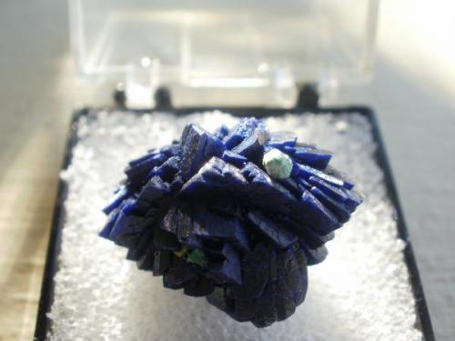 Azurite, Grant County, NM - nice little thumbnail! (Author: Darren)