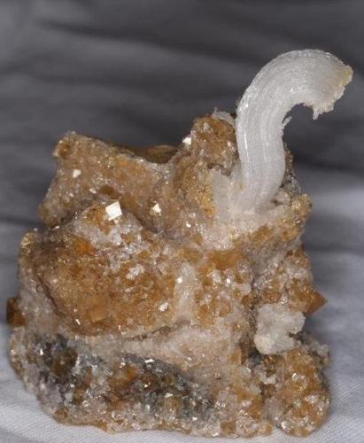 Gypsum with Calcite
Pfeil mine, Karnes Uranium District, Karnes Co., Texas, USA
Specimen size: 7.0 cm X 7.4 cm.
Crystal size: 3.6 cm. (Author: Paul Bordovsky)