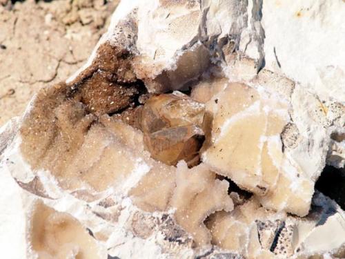 Calcite
Sickenius mine, Karnes Uranium District, Karnes Co., Texas, USA
Calcite crystal 45 x 37mm (Author: Paul Bordovsky)