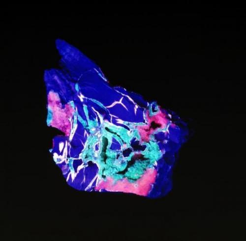 Calcite
Wright-McGrady Mine, Karnes Uranium District, Karnes Co., Texas, USA
120 x 150mm.

Chunk of a concretion 120 x 150mm.  Scalenohedral calcite fluoresces light pink.  Rhombohedral calcite  is red, chalcedony is green, and the blue is the micrite matrix, although this is more a reflection than fluorescence. (Author: Paul Bordovsky)